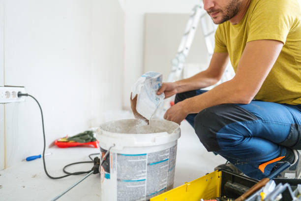 Best Black Mold Removal  in Ash Flat, AR