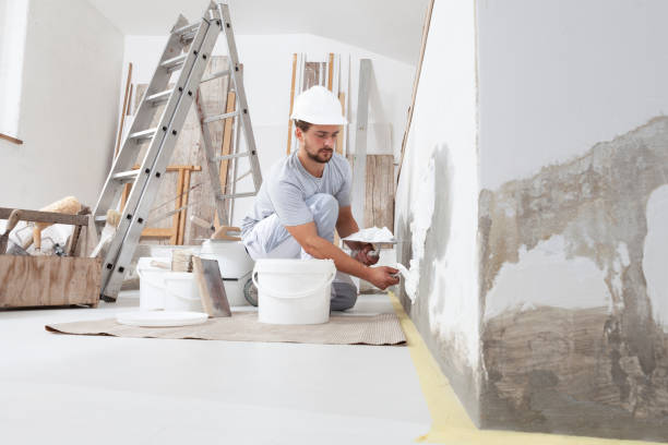 Best Attic Mold Removal  in Ash Flat, AR