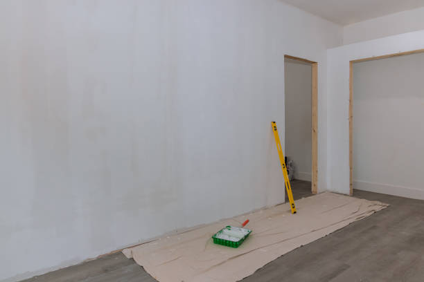 Best Black Mold Removal  in Ash Flat, AR