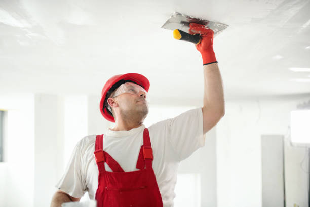 Best Mold Remediation for Healthcare Facilities  in Ash Flat, AR