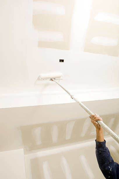 Best Mold Removal for HVAC Installations  in Ash Flat, AR