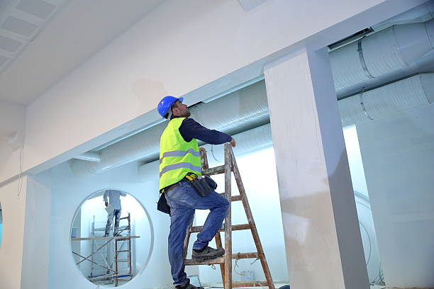 Best HVAC Mold Inspection and Cleaning  in Ash Flat, AR