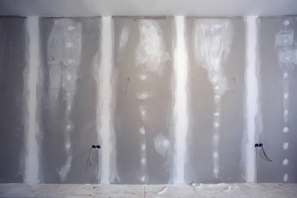 Professional Mold Removal in Ash Flat, AR