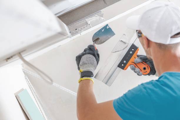 Best Attic Mold Removal  in Ash Flat, AR